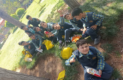 اردوی تفریحی شهربازی آبشار