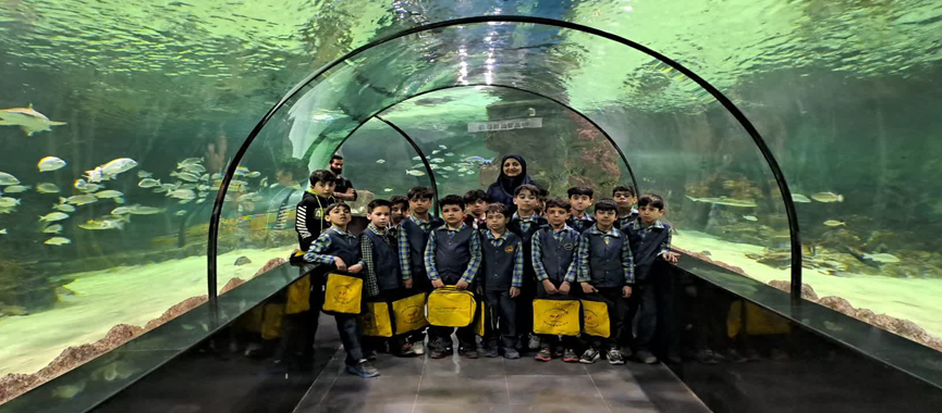 اردوی بازدید از آکواریوم