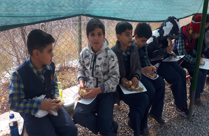 اردوی طبیعت