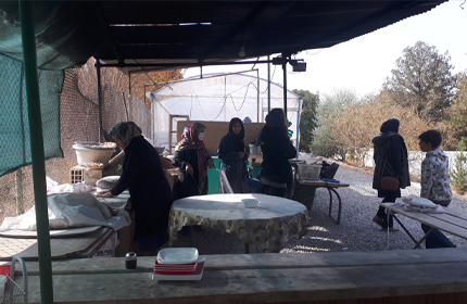 اردوی طبیعت