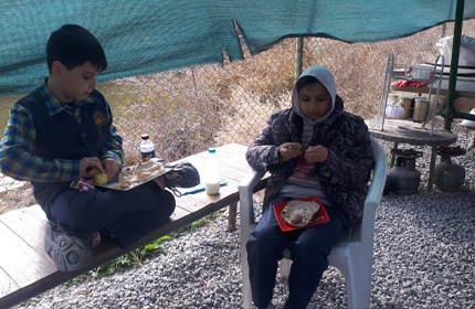 اردوی طبیعت