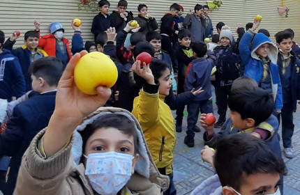 آشنایی بامیوه هاوسبزیجات