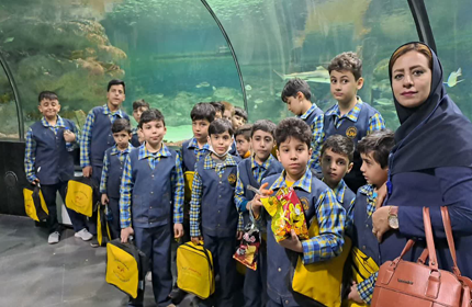 اردوی بازدید از آکواریوم