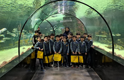 اردوی بازدید از آکواریوم
