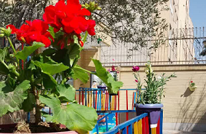 برگزاری روزدرختکاری